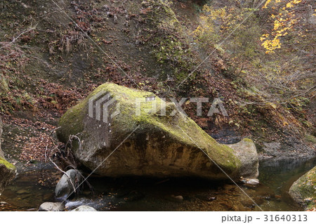 紅葉川渓谷 鯨岩 紅葉川渓谷 鯨岩 31640313