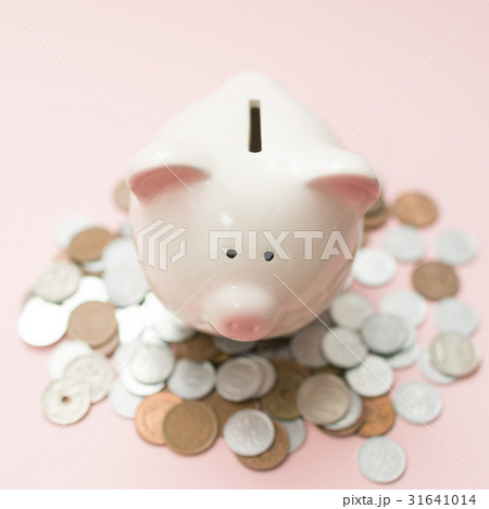 ブタの貯金箱とお金 ブタの貯金箱とお金 31641014