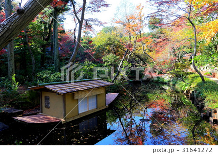 秋の紅葉庭園 31641272