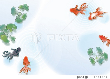 金魚のフレーム 金魚のフレーム 31641374