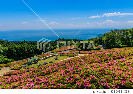 湯河原さつきの郷 31641438