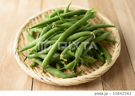 インゲン豆 31642562
