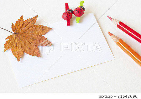 Maple Leaf two Ladybug Clip and red pencil 31642696