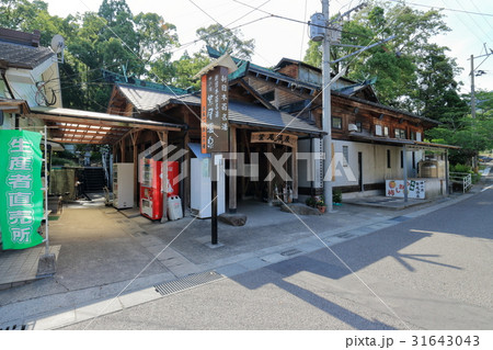 紫尾温泉 紫尾温泉 31643043