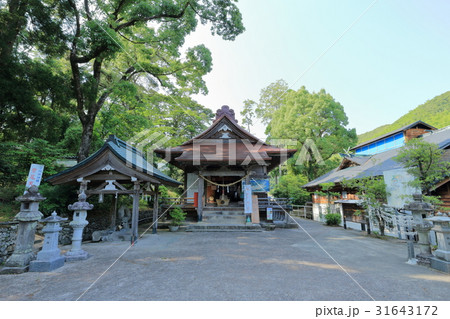 紫尾神社 紫尾神社 31643172