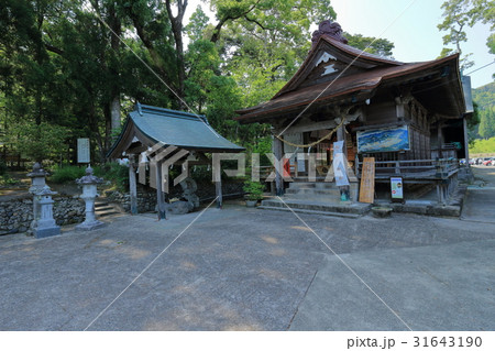 紫尾神社 紫尾神社 31643190