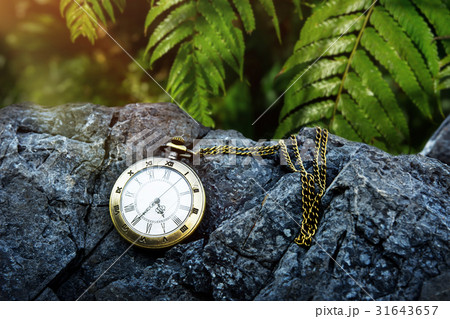 Time concept, Vintage golden pocket watch 31643657