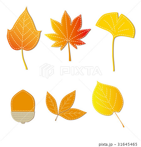 紅葉セット 31645465