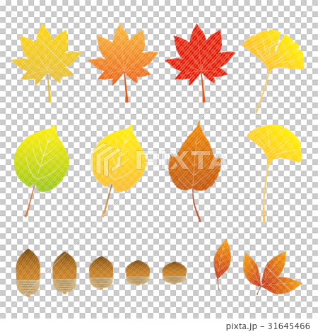 紅葉セット 31645466