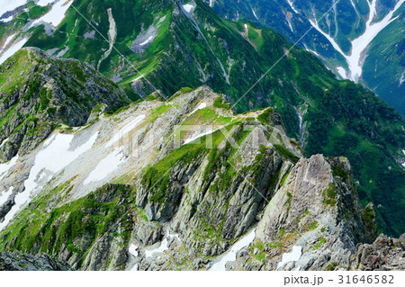 剣岳・別山尾根の登山道 剣岳・別山尾根の登山道 31646582