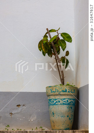Madrasa Marinid of Sale, Rabat-Sale, Morocco Madrasa Marinid of Sale, Rabat-Sale, Morocco 31647617
