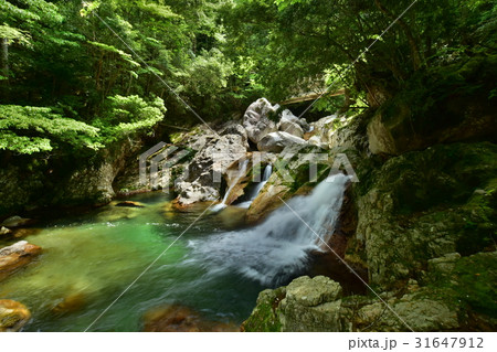 笹の滝の下流の滝（奈良県十津川村） 31647912