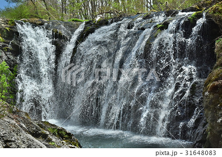 多留姫の滝(長野県茅野市) 多留姫の滝(長野県茅野市) 31648083