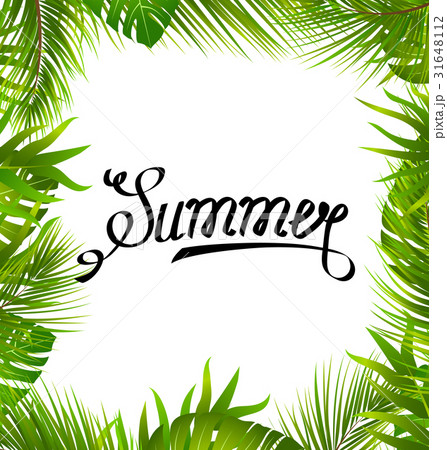 Lettering Text Summer with Border made in Palm Lettering Text Summer with Border made in Palm 31648112