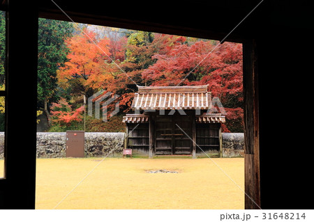 窓辺からの紅葉 31648214