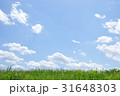 青空 31648303