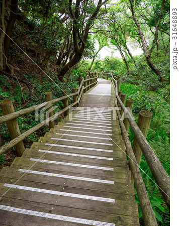 浦富海岸 浦富海岸 31648893