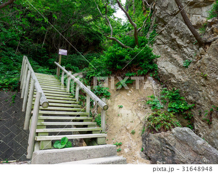 浦富海岸 浦富海岸 31648948