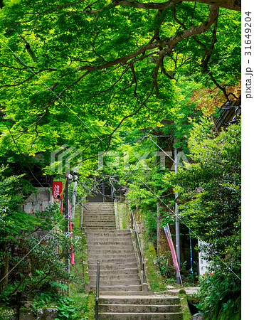 三徳山 三佛寺 参道 31649204