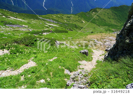 北アルプス・笠ヶ岳　杓子平を見下ろす 31649218