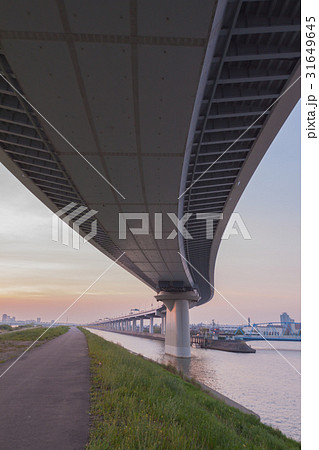 かつしかハープ橋 かつしかハープ橋 31649645