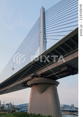 かつしかハープ橋 かつしかハープ橋 31649646