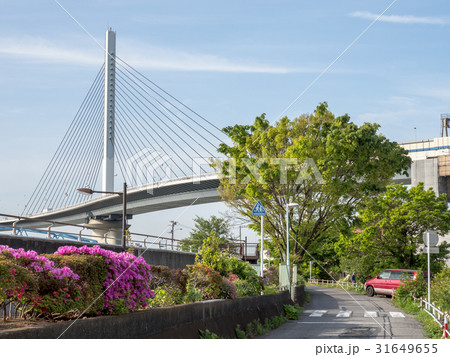 かつしかハープ橋 かつしかハープ橋 31649655