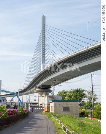 かつしかハープ橋 31649656