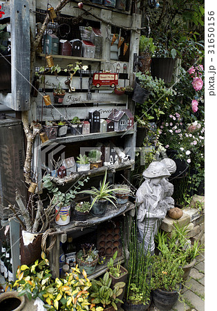 園芸作業 作業小屋 収納 アンティーク雑貨 園芸作業 作業小屋 収納 アンティーク雑貨 31650156
