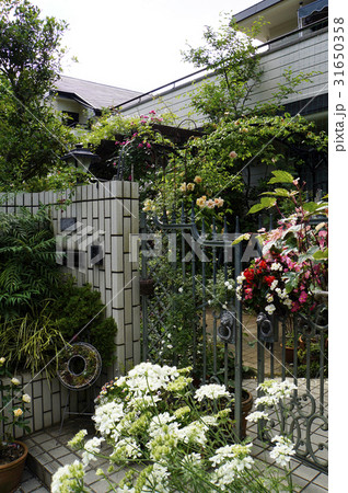 住まいの玄関　門廻り　ハンギング 31650358