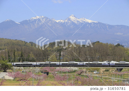 八ヶ岳&新府桃源郷を行くE351系特急スーパーあずさ号 八ヶ岳&新府桃源郷を行くE351系特急スーパーあずさ号 31650781