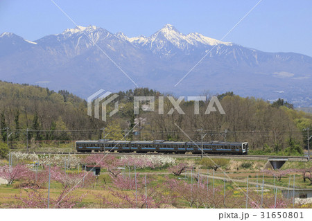 八ヶ岳&新府桃源郷を行く中央本線211系電車 八ヶ岳&新府桃源郷を行く中央本線211系電車 31650801