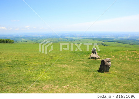 北海道ナイタイ高原 31651096