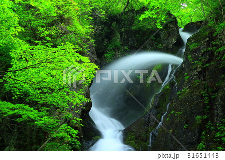 夏の七折の滝 夏の七折の滝 31651443