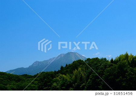 初夏の 大山 初夏の 大山 31651456