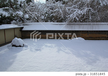 雪化粧の龍安寺庭園 31651845