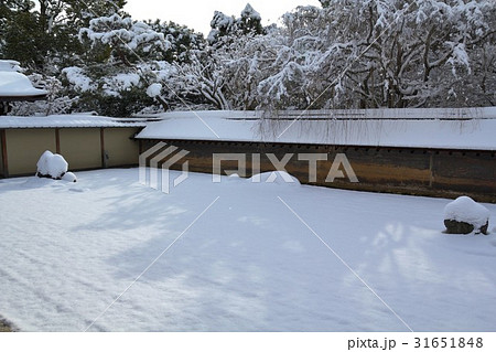 雪化粧の龍安寺庭園 31651848