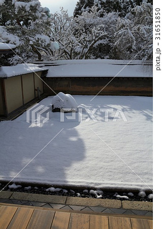 雪化粧の龍安寺庭園 31651850