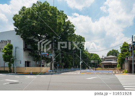 世田谷散歩 環八通り上野毛 駒沢通り多摩美大前交差点の写真素材