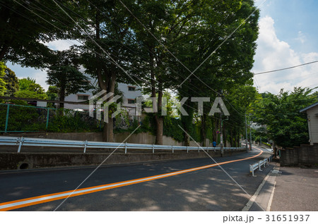 世田谷散歩、上野毛三丁目、駒沢通り並木道下り坂 世田谷散歩、上野毛三丁目、駒沢通り並木道下り坂 31651937