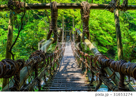 かずら橋 徳島県 日本 アジア かずら橋 徳島県 日本 アジア 31653274