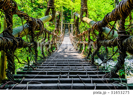 かずら橋 徳島県 日本 アジア かずら橋 徳島県 日本 アジア 31653275