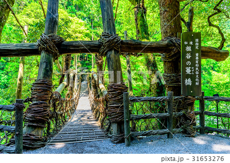 かずら橋 徳島県 日本 アジア 31653276
