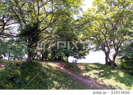 佐和山城跡の山頂部 31653600