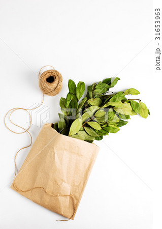 Branches of laurel bay leaves in paper 31653963