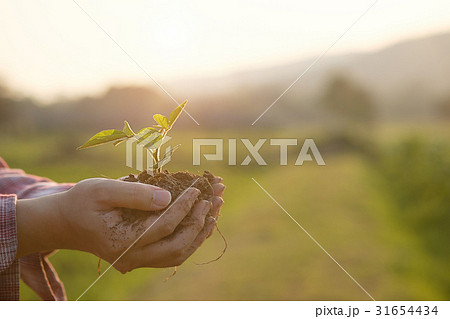 Soil cultivated dirt agriculture Field Soil cultivated dirt agriculture Field 31654434