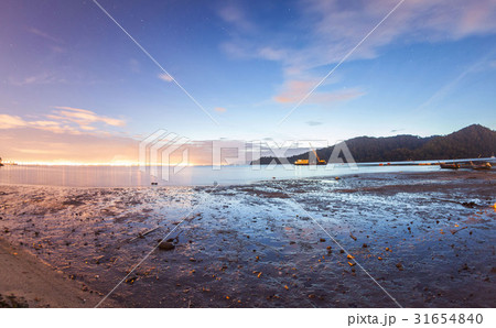 Mud texture with landscape view for background Mud texture with landscape view for background 31654840