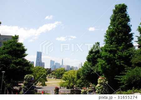 山下公園から遠くみなとみらいを見る(横浜市中区) 31655274