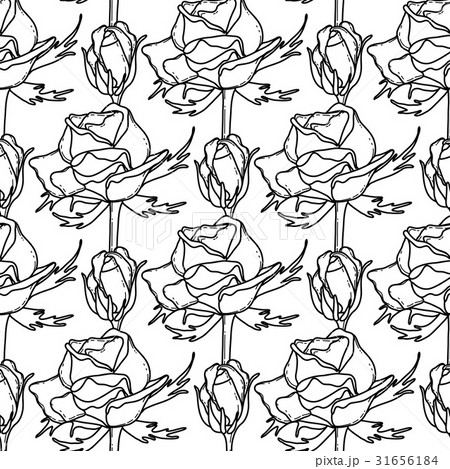Graphic pattern of roses 31656184