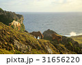 沖縄　与那国島　東崎の与那国馬 31656220